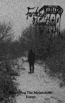 Wandering the Melancholic Forest